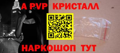 СК Тара