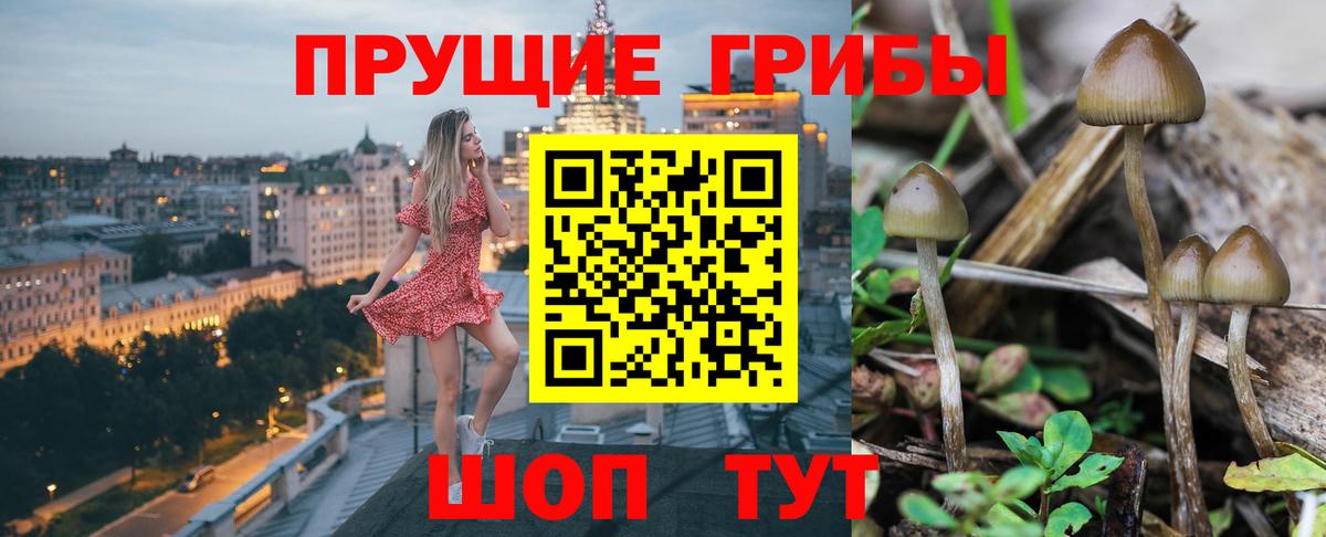 Галлюциногенные грибы мухоморы Нижневартовск